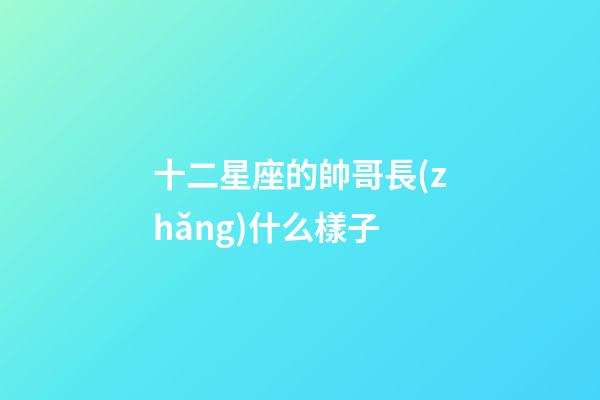 十二星座的帥哥長(zhǎng)什么樣子-第1張-星座運(yùn)勢(shì)-玄機(jī)派