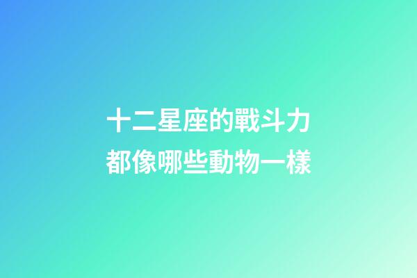 十二星座的戰斗力都像哪些動物一樣-第1張-星座運勢-玄機派