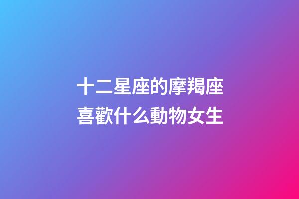十二星座的摩羯座喜歡什么動物女生-第1張-星座運勢-玄機派