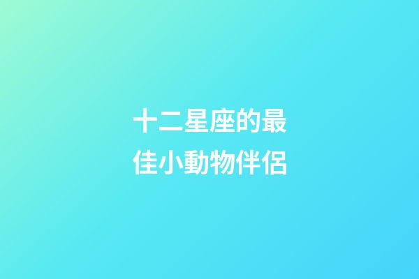 十二星座的最佳小動物伴侶-第1張-星座運勢-玄機派