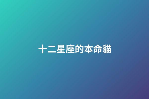 十二星座的本命貓-第1張-星座運(yùn)勢(shì)-玄機(jī)派