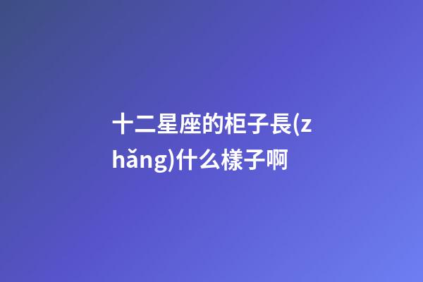 十二星座的柜子長(zhǎng)什么樣子啊-第1張-星座運(yùn)勢(shì)-玄機(jī)派