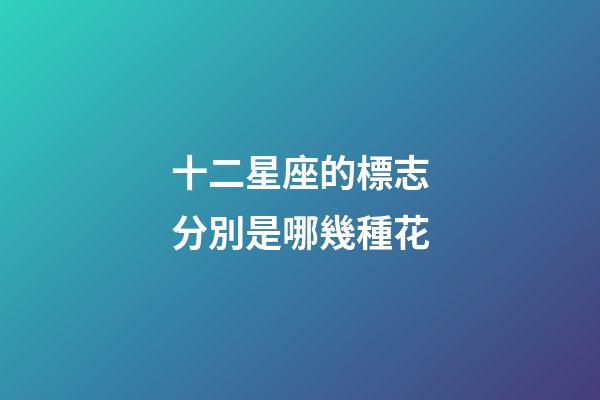 十二星座的標志分別是哪幾種花-第1張-星座運勢-玄機派