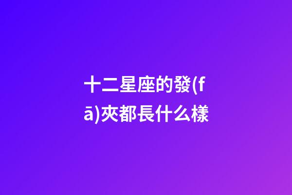 十二星座的發(fā)夾都長什么樣