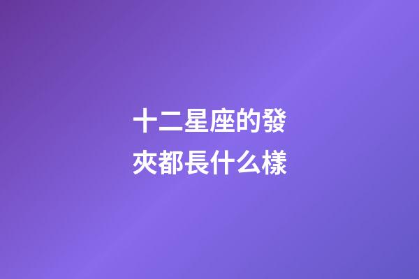 十二星座的發夾都長什么樣