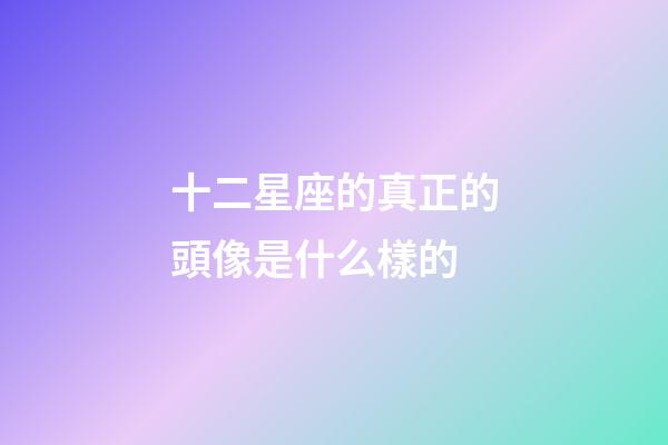 十二星座的真正的頭像是什么樣的-第1張-星座運勢-玄機派