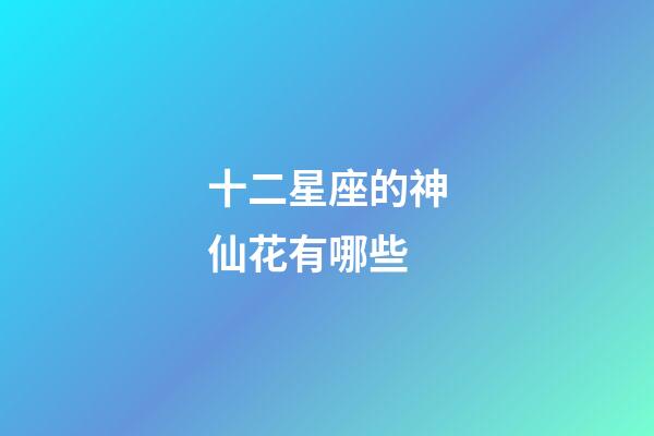 十二星座的神仙花有哪些-第1張-星座運勢-玄機派