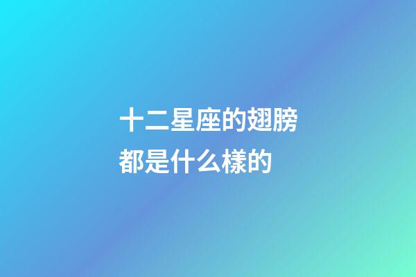 十二星座的翅膀都是什么樣的-第1張-星座運勢-玄機派