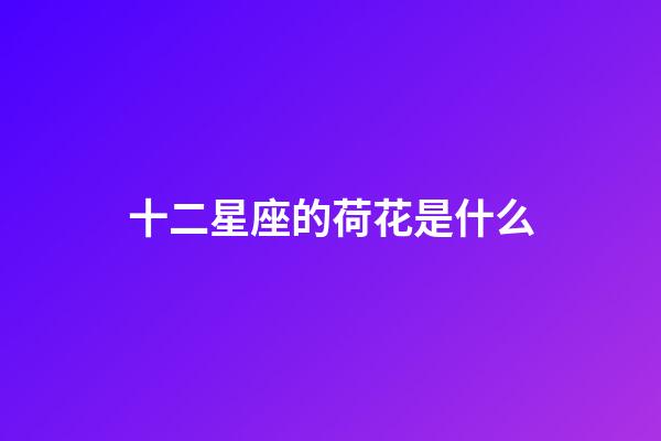 十二星座的荷花是什么-第1張-星座運勢-玄機派