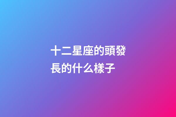 十二星座的頭發長的什么樣子-第1張-星座運勢-玄機派