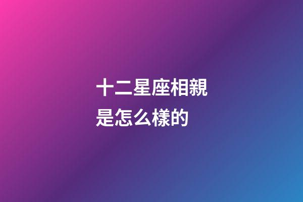 十二星座相親是怎么樣的-第1張-星座運勢-玄機派