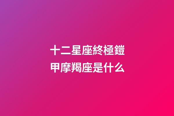 十二星座終極鎧甲摩羯座是什么