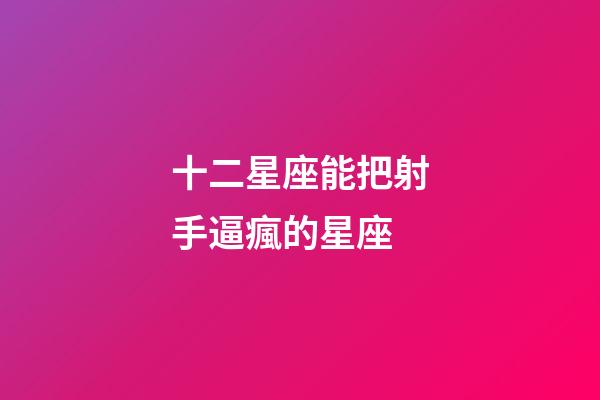 十二星座能把射手逼瘋的星座-第1張-星座運勢-玄機派