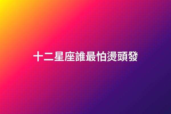 十二星座誰最怕燙頭發-第1張-星座運勢-玄機派