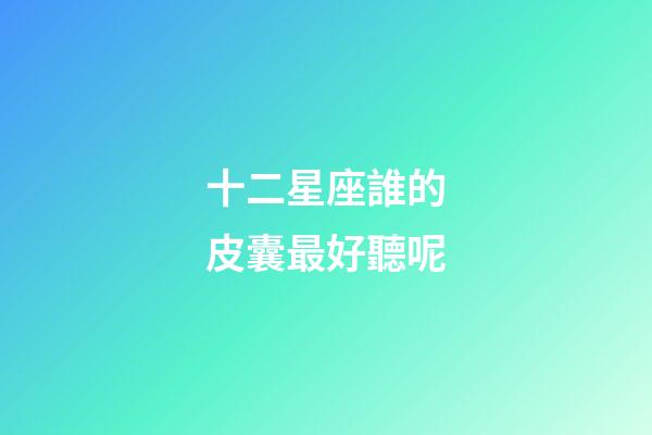 十二星座誰的皮囊最好聽呢-第1張-星座運勢-玄機派