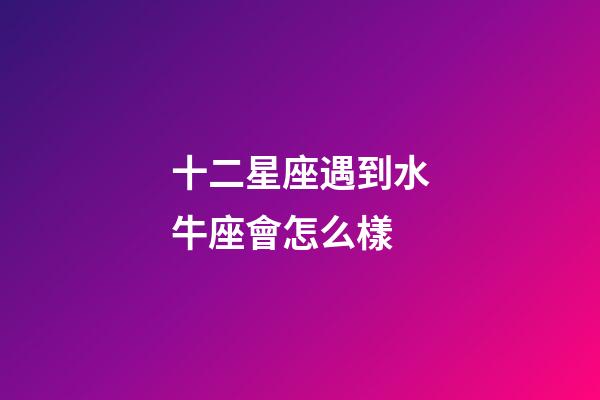 十二星座遇到水牛座會怎么樣