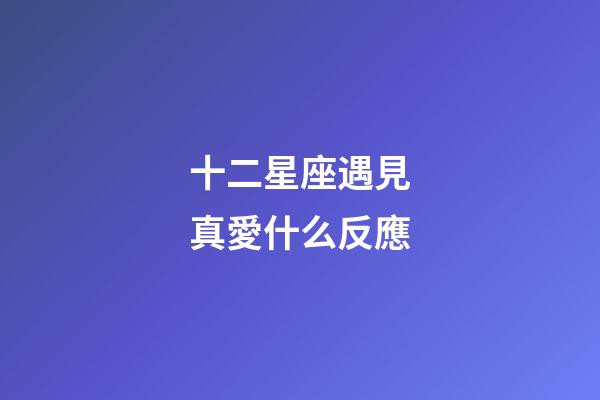 十二星座遇見真愛什么反應-第1張-星座運勢-玄機派