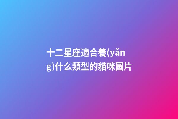 十二星座適合養(yǎng)什么類型的貓咪圖片-第1張-星座運(yùn)勢-玄機(jī)派