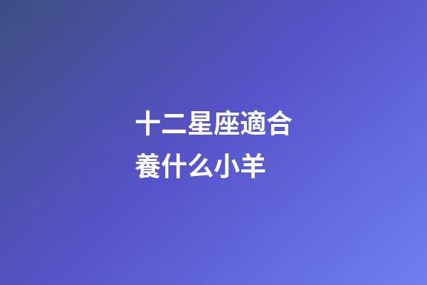 十二星座適合養什么小羊-第1張-星座運勢-玄機派