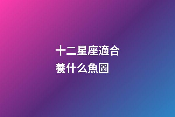 十二星座適合養什么魚圖-第1張-星座運勢-玄機派