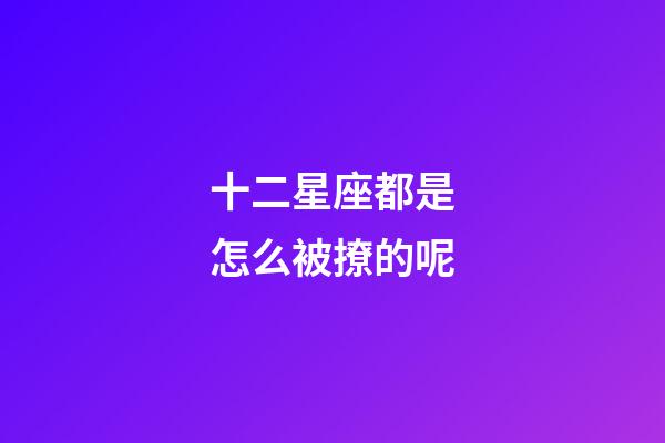 十二星座都是怎么被撩的呢-第1張-星座運勢-玄機派