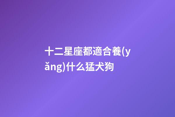 十二星座都適合養(yǎng)什么猛犬狗-第1張-星座運(yùn)勢(shì)-玄機(jī)派
