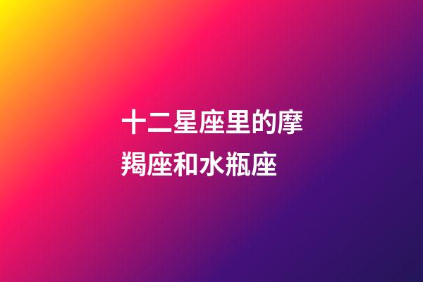 十二星座里的摩羯座和水瓶座-第1張-星座運(yùn)勢(shì)-玄機(jī)派