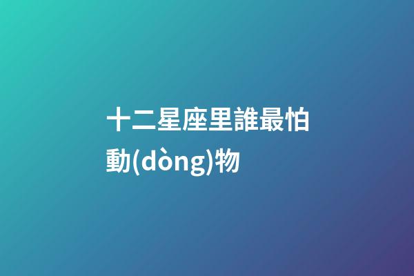 十二星座里誰最怕動(dòng)物-第1張-星座運(yùn)勢(shì)-玄機(jī)派