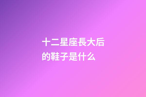 十二星座長大后的鞋子是什么-第1張-星座運勢-玄機派