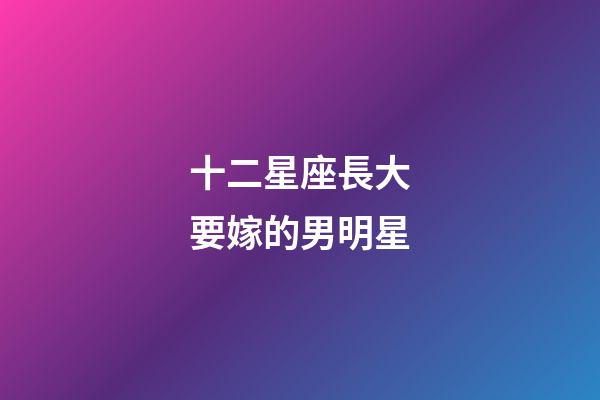 十二星座長大要嫁的男明星-第1張-星座運勢-玄機派