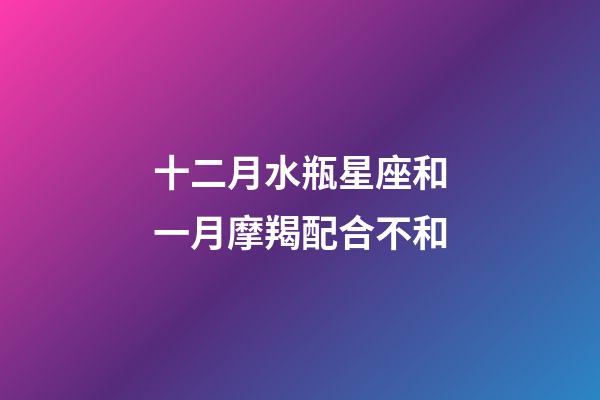 十二月水瓶星座和一月摩羯配合不和-第1張-星座運勢-玄機派