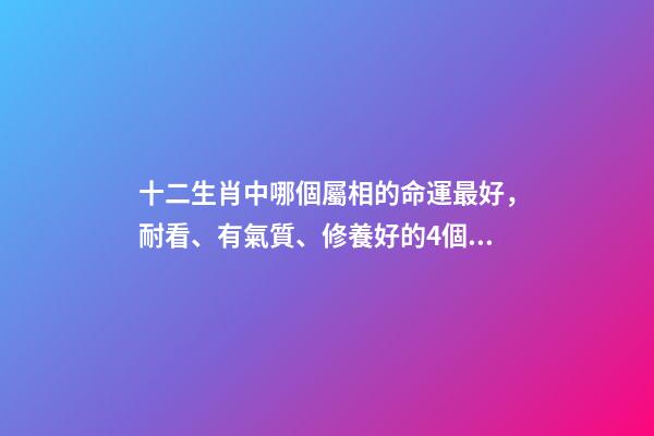 十二生肖中哪個屬相的命運最好，耐看、有氣質、修養好的4個生肖-第1張-觀點-玄機派