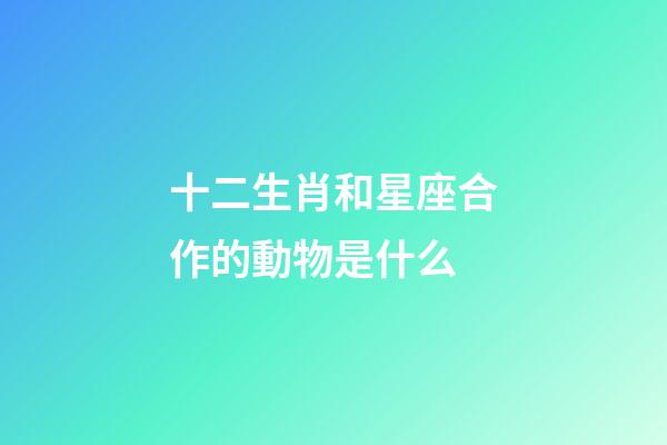 十二生肖和星座合作的動物是什么-第1張-星座運勢-玄機派