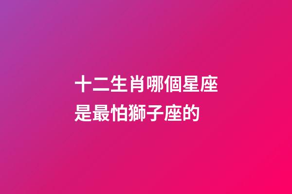 十二生肖哪個星座是最怕獅子座的-第1張-星座運勢-玄機派