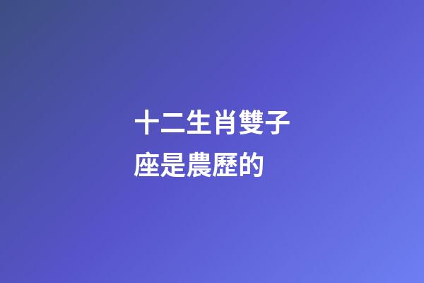 十二生肖雙子座是農歷的-第1張-星座運勢-玄機派
