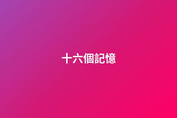 十六個記憶