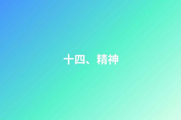 十四、精神