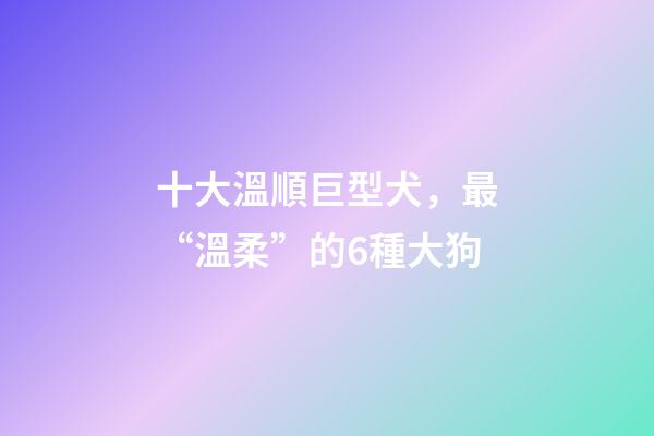 十大溫順巨型犬，最“溫柔”的6種大狗-第1張-觀點(diǎn)-玄機(jī)派