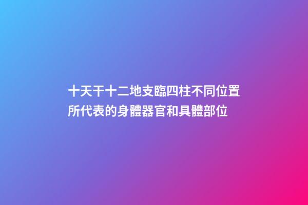 十天干十二地支臨四柱不同位置所代表的身體器官和具體部位