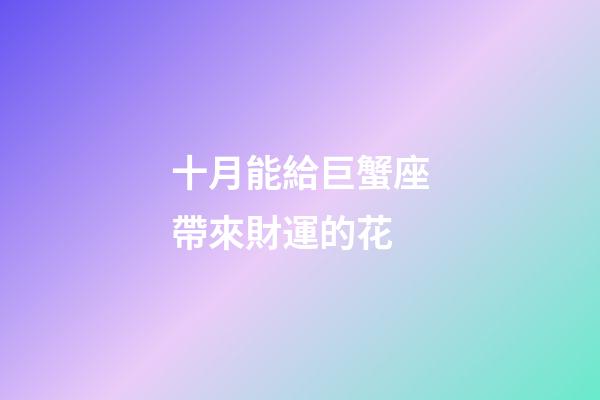 十月能給巨蟹座帶來財運的花-第1張-星座運勢-玄機派