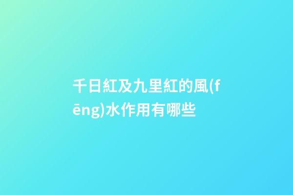 千日紅及九里紅的風(fēng)水作用有哪些?