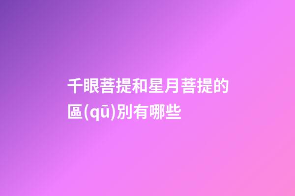 千眼菩提和星月菩提的區(qū)別有哪些