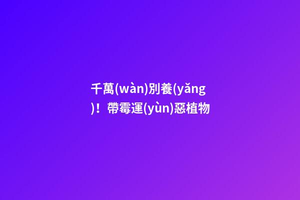 千萬(wàn)別養(yǎng)！帶霉運(yùn)惡植物