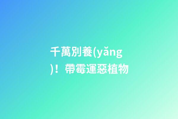 千萬別養(yǎng)！帶霉運惡植物