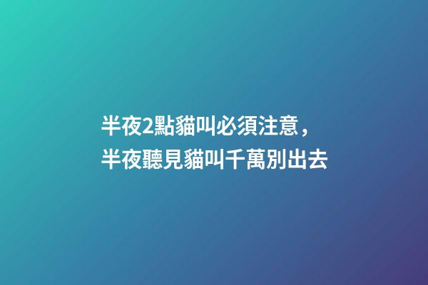 半夜2點貓叫必須注意，半夜聽見貓叫千萬別出去-第1張-觀點-玄機派