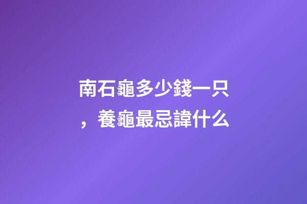 南石龜多少錢一只，養龜最忌諱什么-第1張-觀點-玄機派