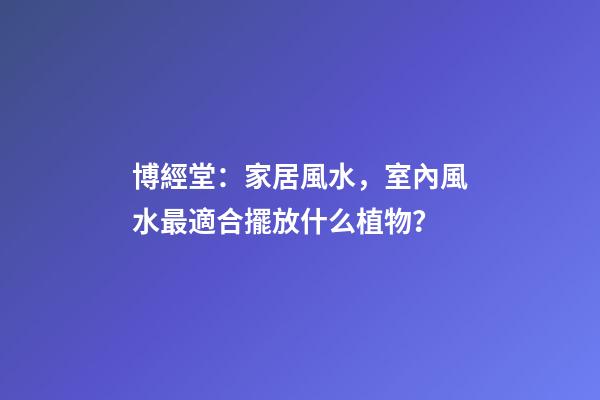 博經堂：家居風水，室內風水最適合擺放什么植物？