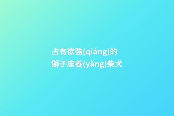 占有欲強(qiáng)的獅子座養(yǎng)柴犬-第1張-星座運(yùn)勢(shì)-玄機(jī)派
