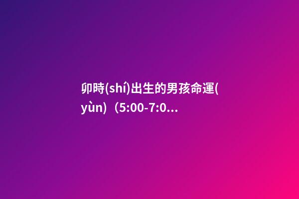 卯時(shí)出生的男孩命運(yùn)（5:00-7:00）