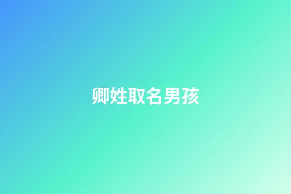 卿姓取名男孩(男孩姓卿配哪個(gè)字好聽)-第1張-男孩起名-玄機(jī)派